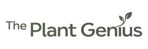 This is logo of The Plan Genius